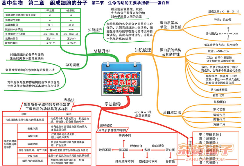 小学到高中全学科思维导图 彩版可打印